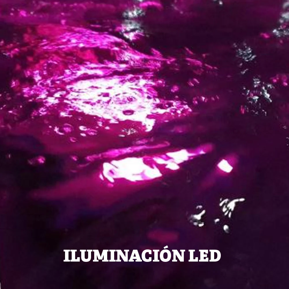 LIMPIAFONDOS TORNADO D400 V2023 - Image 3